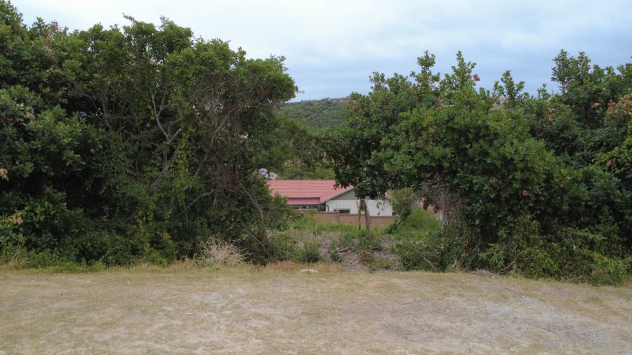 0 Bedroom Property for Sale in Great Brak River Western Cape